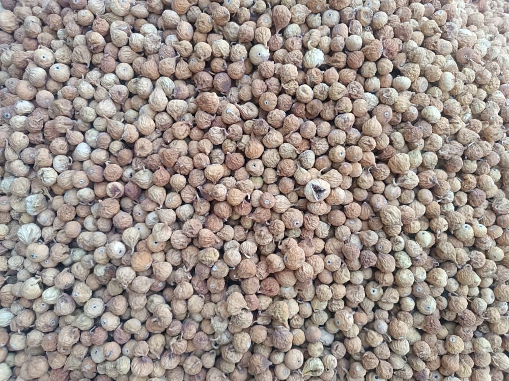 تصویر 1 از خرید ویژه انجیر قهوه ای ریز (A) + ارسال سریع